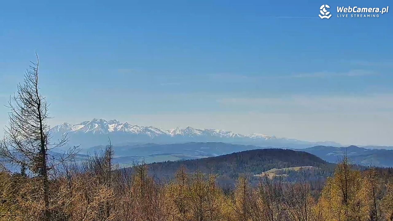 Jaworzyna Krynicka-ski - 04 maj 2026, 13:29