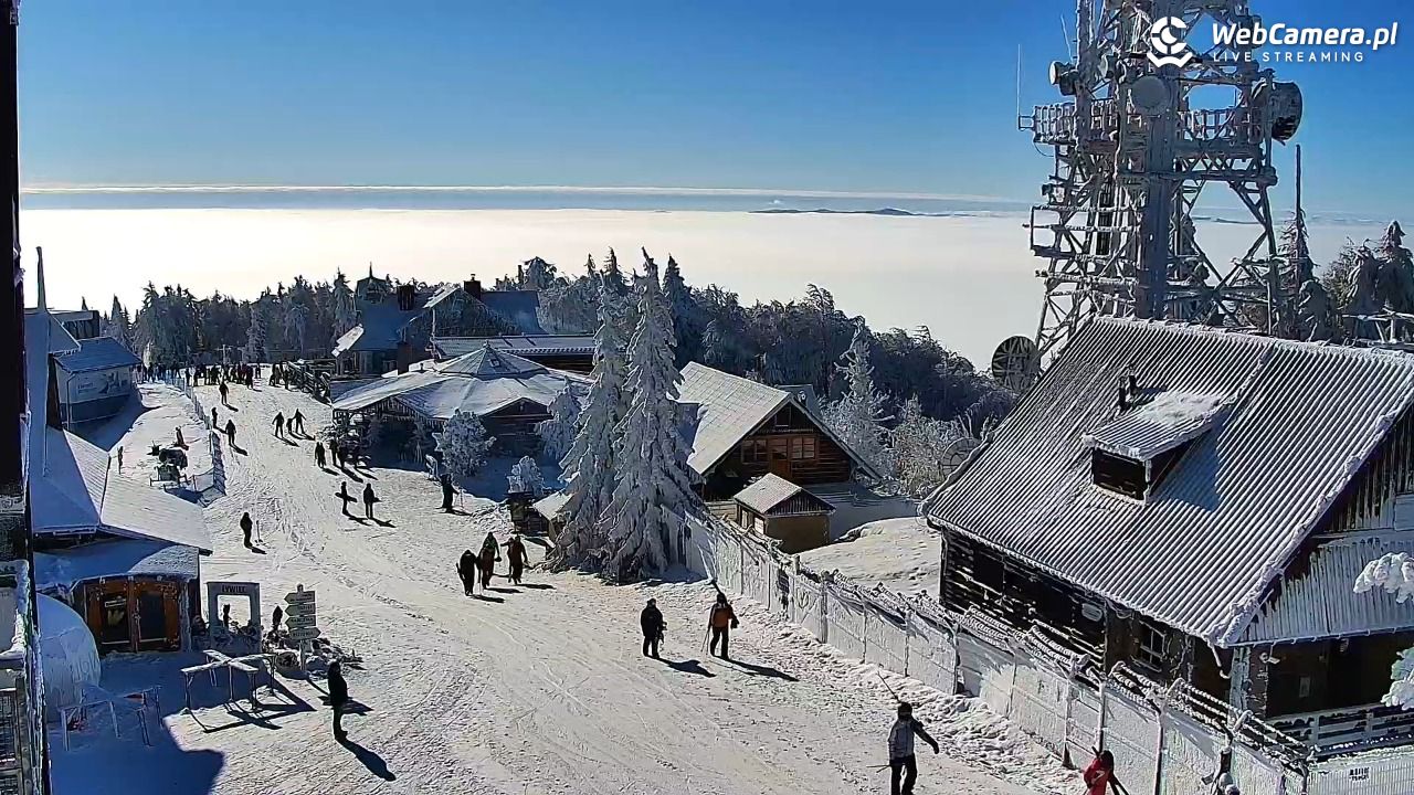 Jaworzyna Krynicka-ski - 01 luty 2026, 11:04