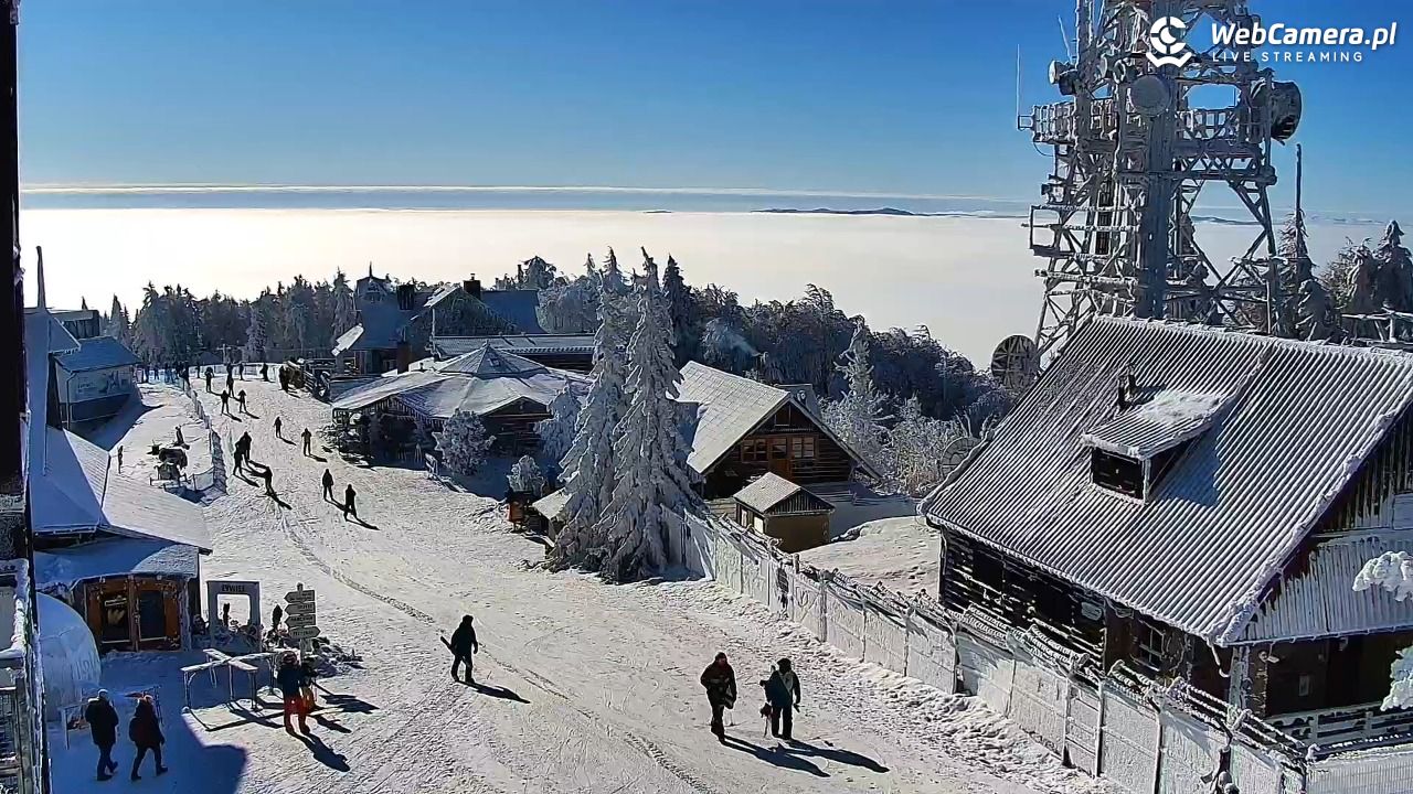 Jaworzyna Krynicka-ski - 01 luty 2026, 10:58