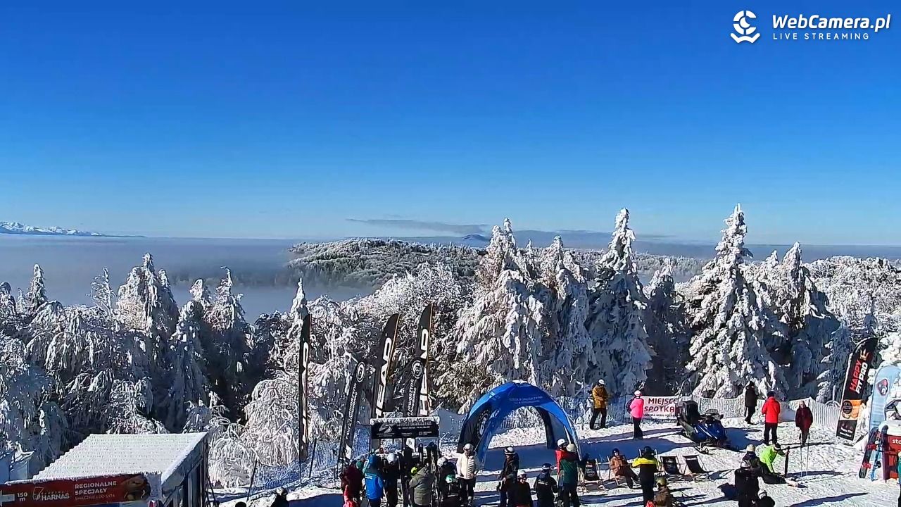 Jaworzyna Krynicka-ski - 01 luty 2026, 11:00