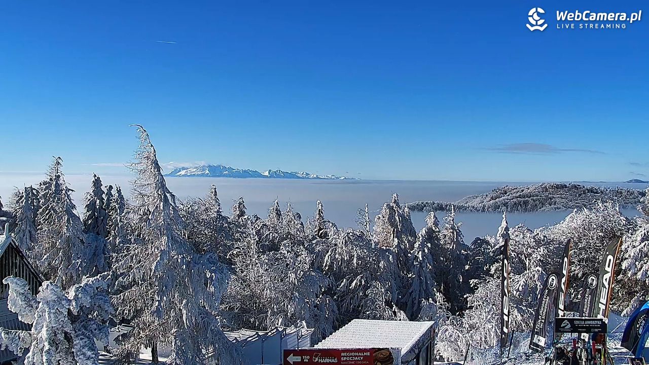 Jaworzyna Krynicka-ski - 01 luty 2026, 11:22