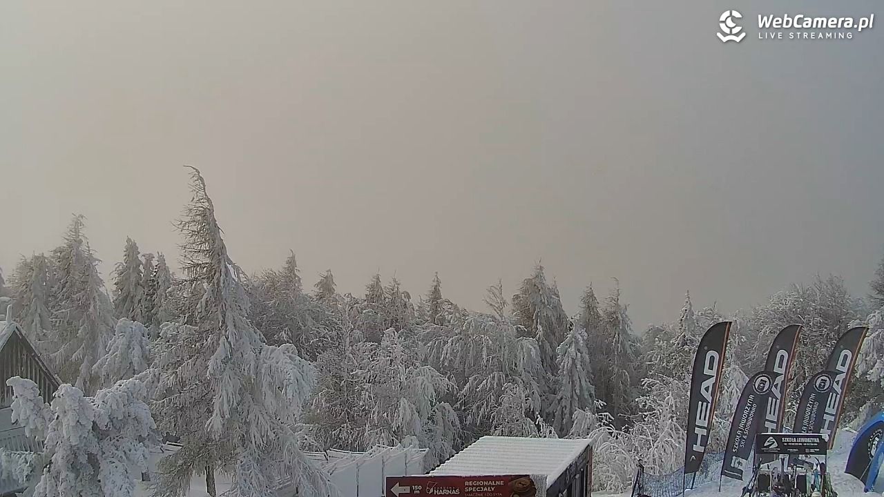 Jaworzyna Krynicka-ski - 01 luty 2026, 11:59