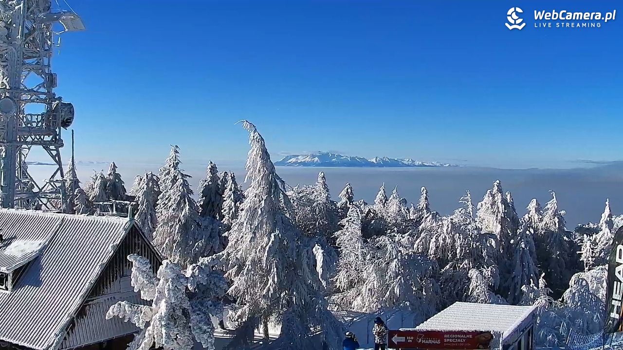Jaworzyna Krynicka-ski - 01 luty 2026, 10:29