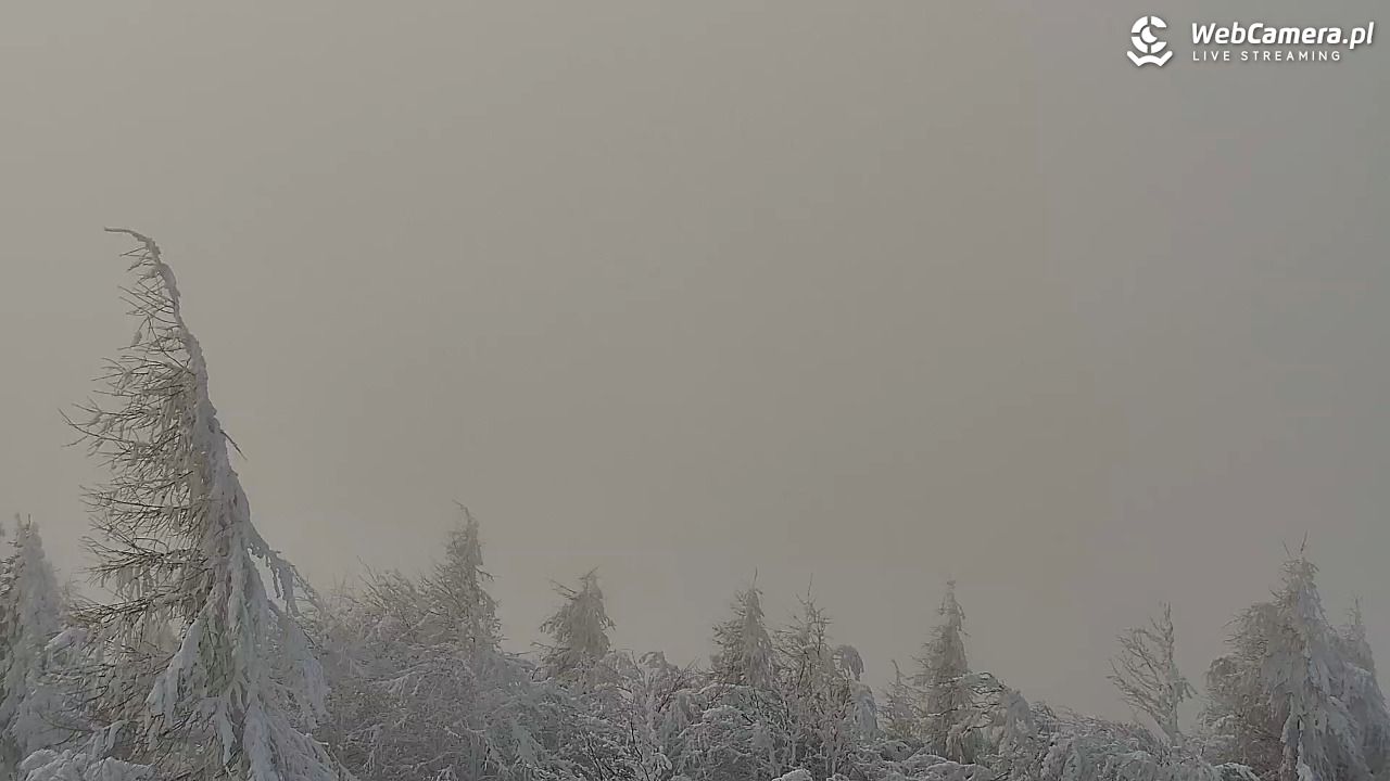 Jaworzyna Krynicka-ski - 01 luty 2026, 11:58