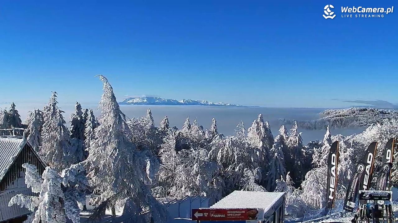 Jaworzyna Krynicka-ski - 01 luty 2026, 10:48
