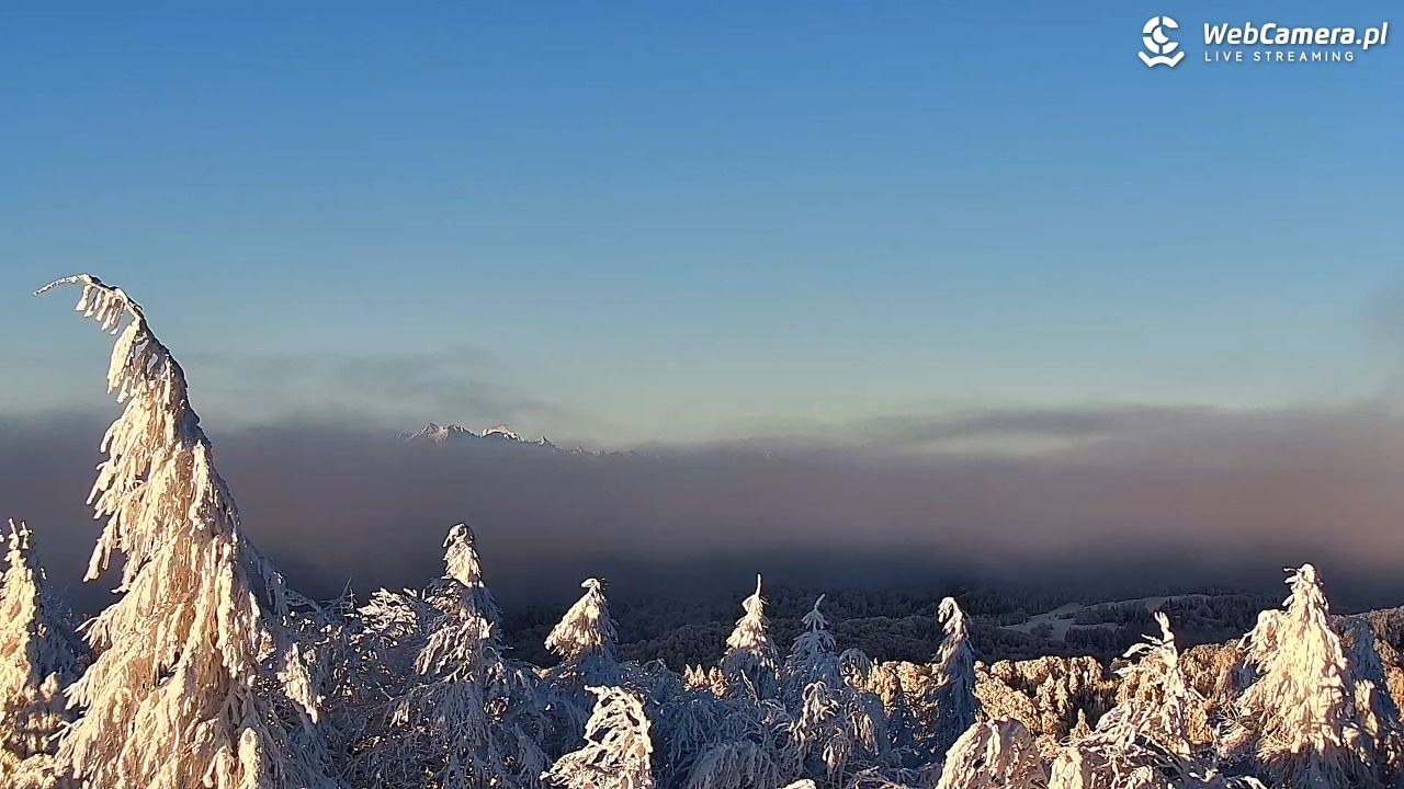 Jaworzyna Krynicka-ski - 01 luty 2026, 07:52