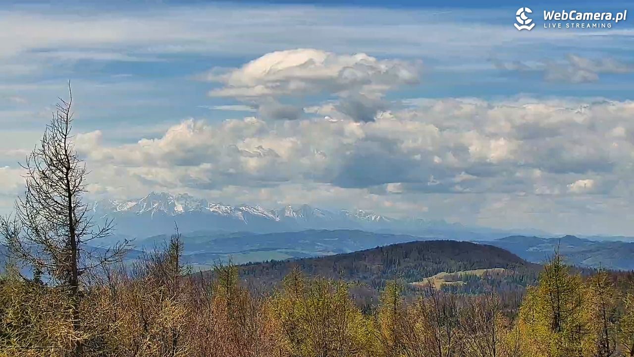 Jaworzyna Krynicka-ski - 06 maj 2026, 12:32