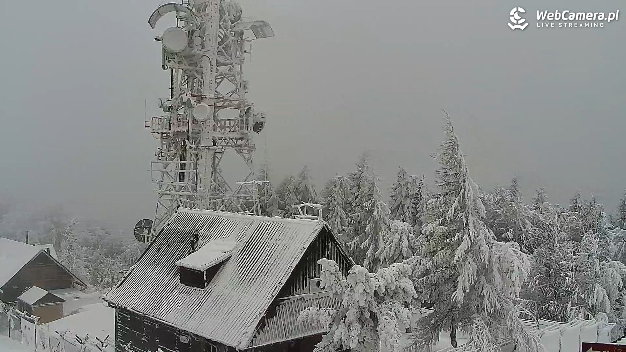 Jaworzyna Krynicka-ski - 01 luty 2026, 15:32