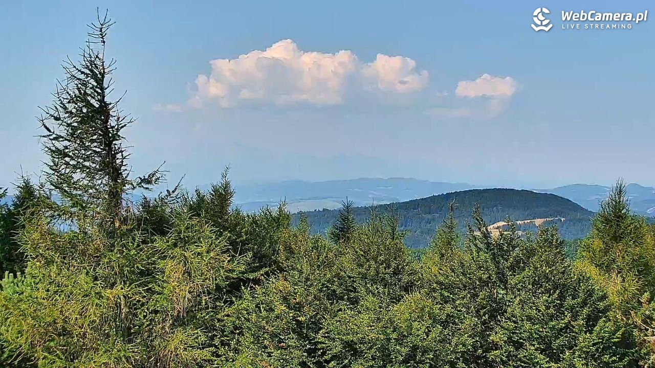 Jaworzyna Krynicka-ski - 06 sierpień 2026, 09:35