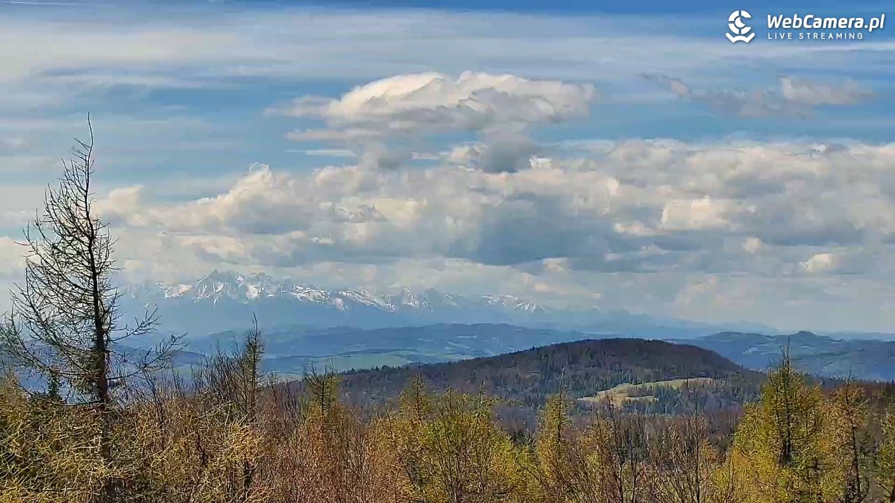 Jaworzyna Krynicka-ski - 06 maj 2026, 12:31