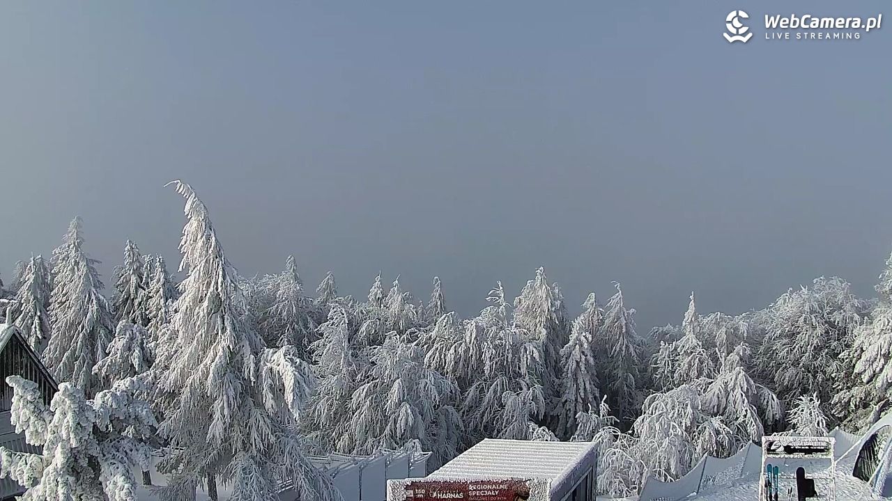 Jaworzyna Krynicka-ski - 01 luty 2026, 09:21