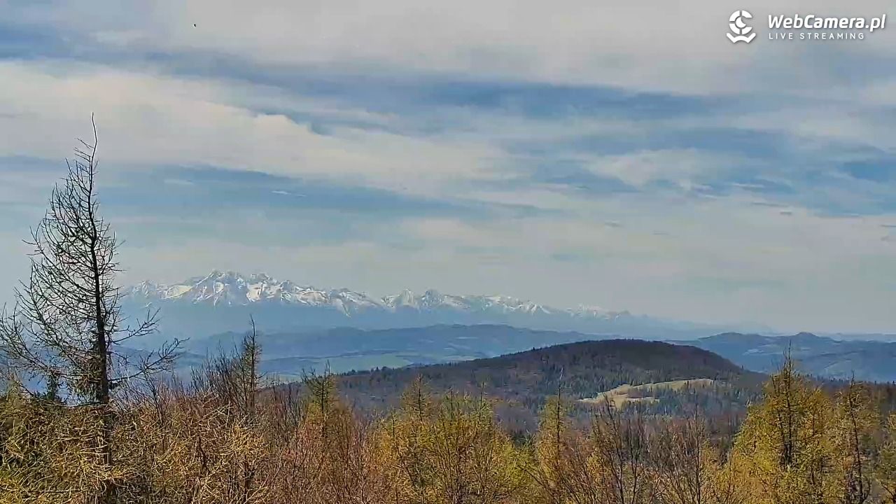 Jaworzyna Krynicka-ski - 05 maj 2026, 12:06