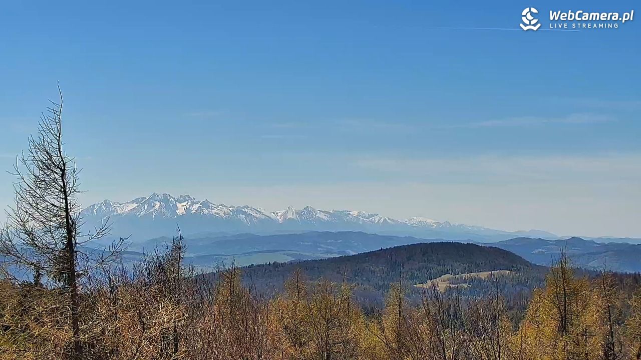 Jaworzyna Krynicka-ski - 04 maj 2026, 13:31