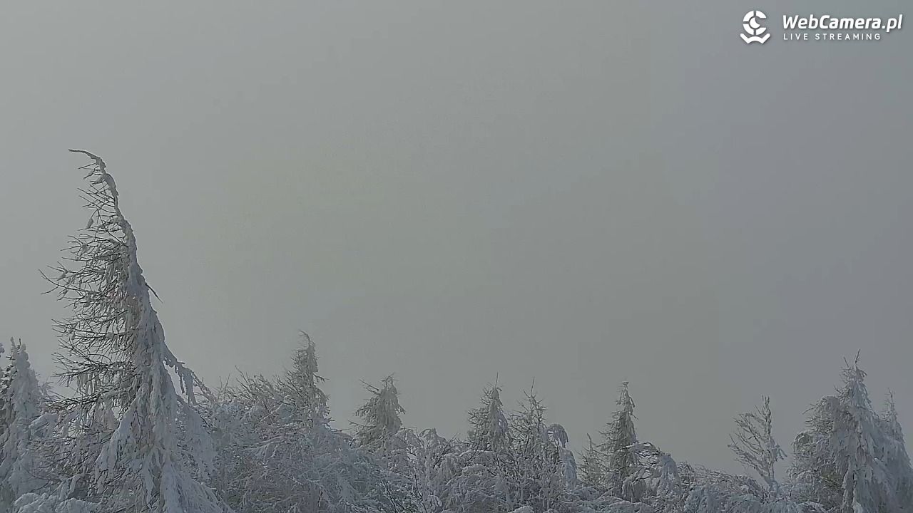 Jaworzyna Krynicka-ski - 01 luty 2026, 11:55