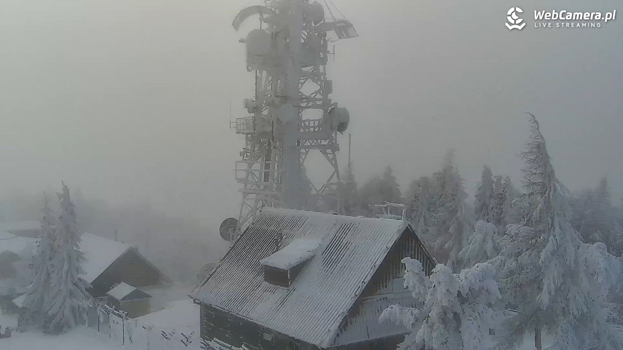 Jaworzyna Krynicka-ski - 01 luty 2026, 12:00