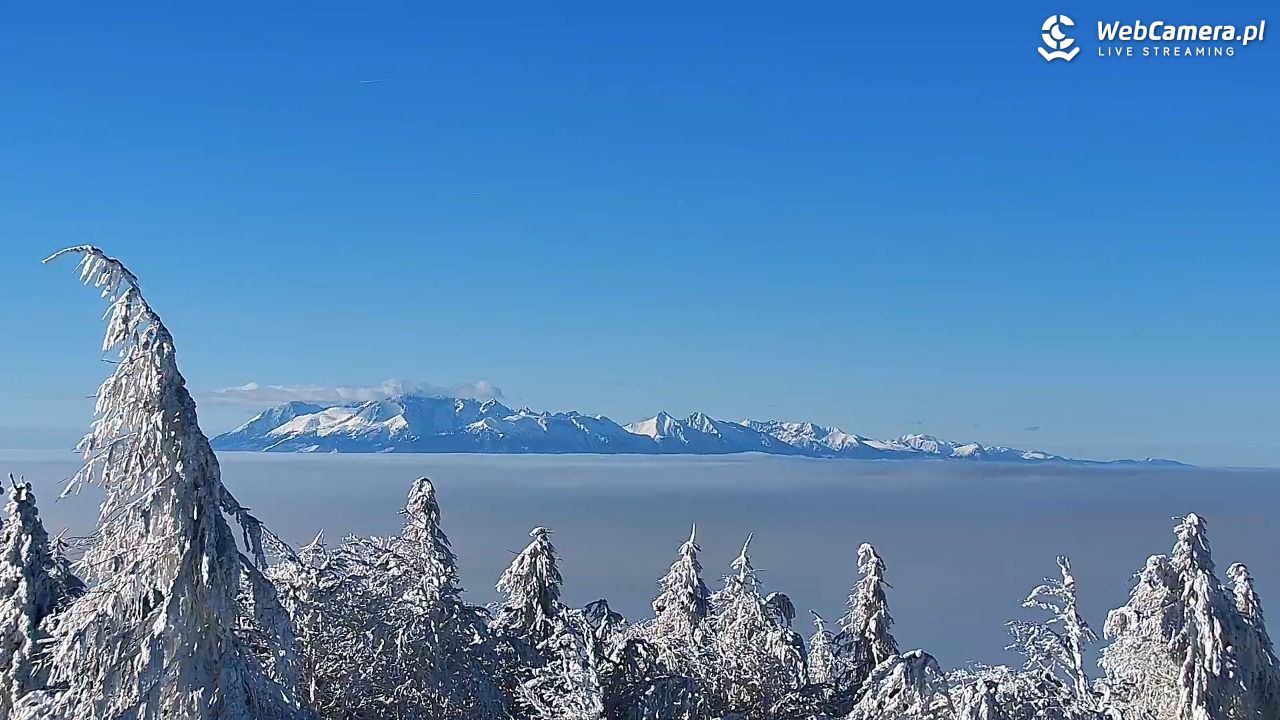 Jaworzyna Krynicka-ski - 01 luty 2026, 10:45