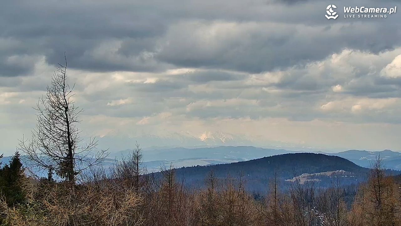 Jaworzyna Krynicka-ski - 22 marzec 2026, 12:39