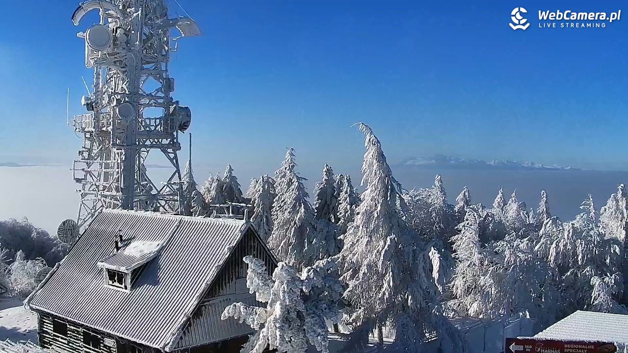 Jaworzyna Krynicka-ski - 01 luty 2026, 10:22
