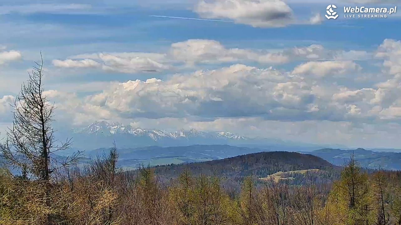 Jaworzyna Krynicka-ski - 06 maj 2026, 12:47