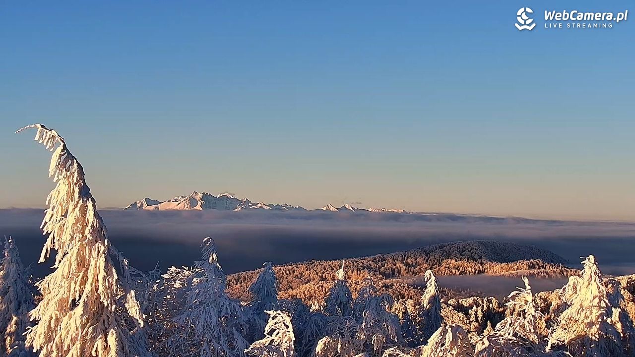 Jaworzyna Krynicka-ski - 01 luty 2026, 07:36