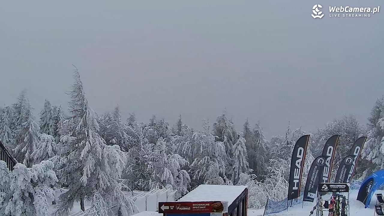 Jaworzyna Krynicka-ski - 01 luty 2026, 14:32