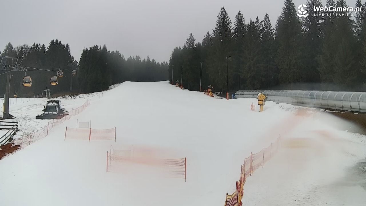 Ski & Sun - Świeradów -  Góry Izerskie - 24 luty 2026, 08:29