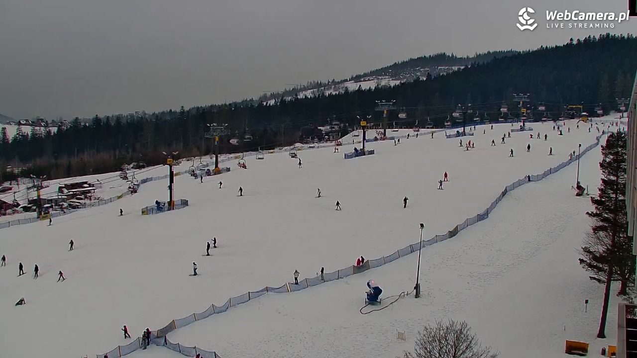 Polana Szymoszkowa - 22 styczeń 2026, 15:46