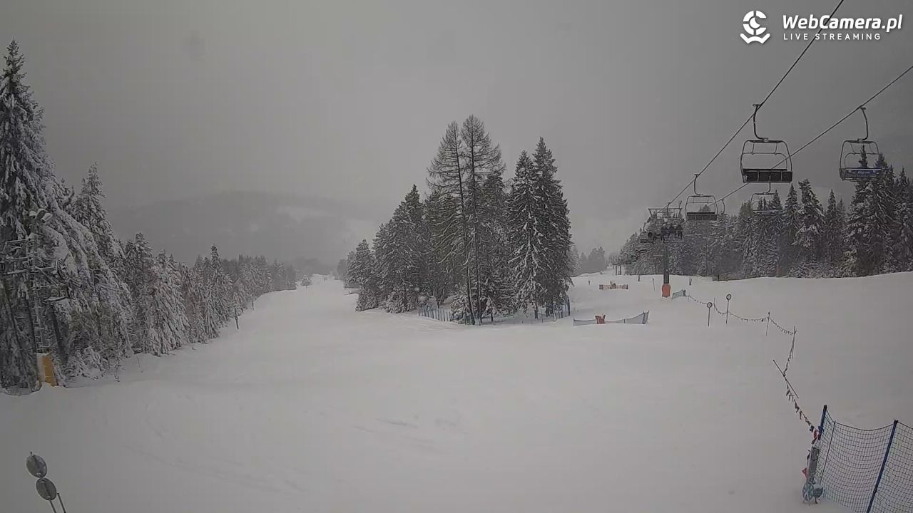 Wierchomla - Polanki - 13 styczeń 2026, 14:26