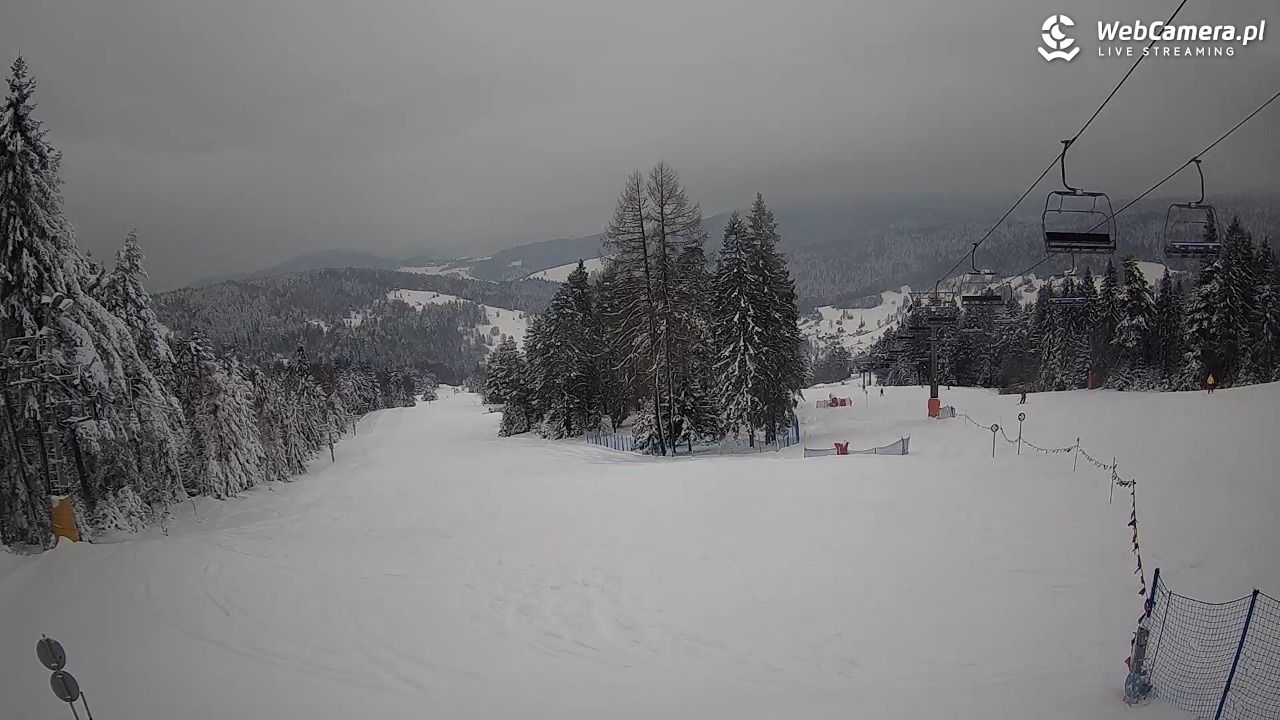 Wierchomla - Polanki - 14 styczeń 2026, 14:41