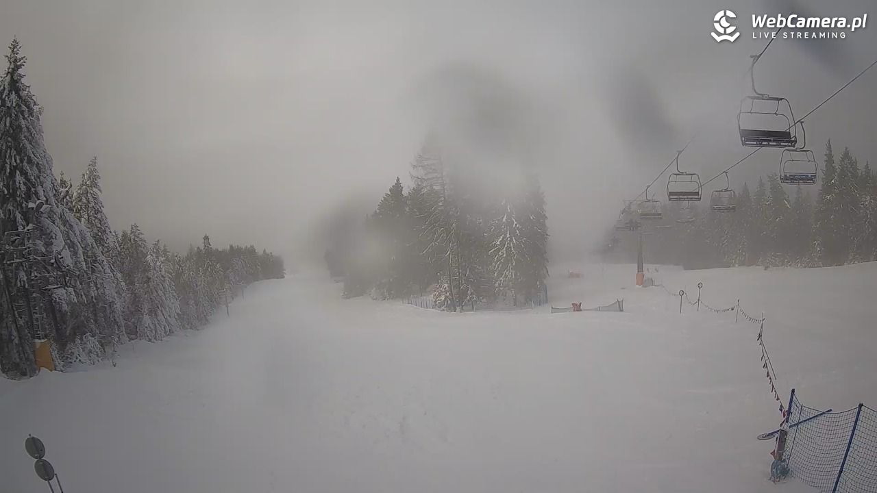 Wierchomla - Polanki - 15 styczeń 2026, 11:00