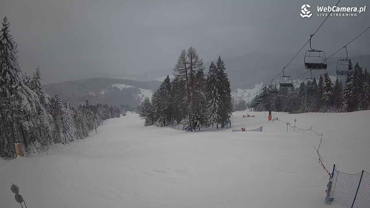 Wierchomla - Polanki - 13 styczeń 2026, 15:35