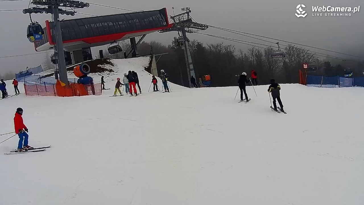 Jaworzyna Krynicka - trasa nr 1 - 08 luty 2026, 10:29