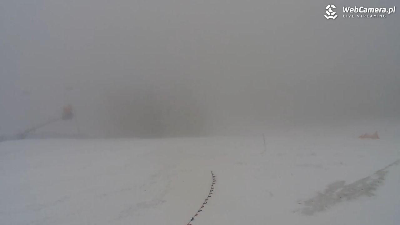 Jaworzyna Krynicka - trasa nr 1 - 28 marzec 2026, 09:49