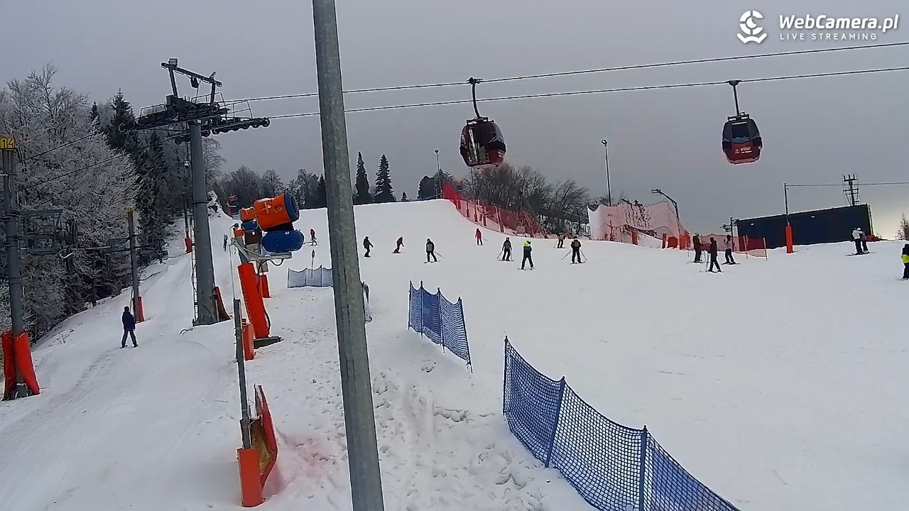 Jaworzyna Krynicka - trasa nr 1 - 10 luty 2026, 13:03