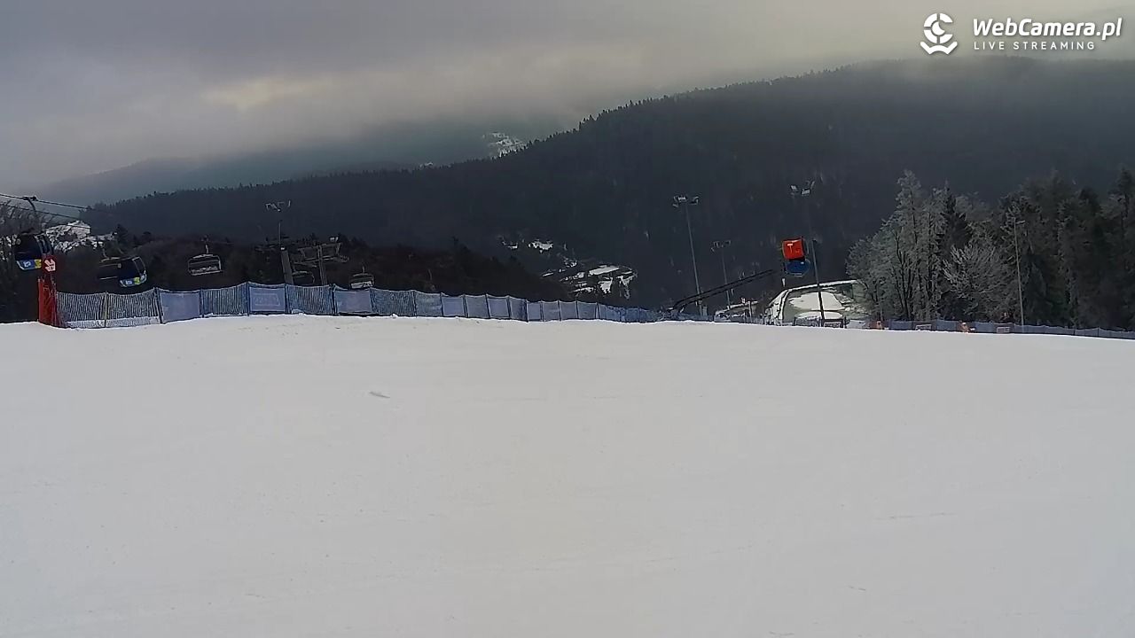 Jaworzyna Krynicka - trasa nr 1 - 10 luty 2026, 08:40