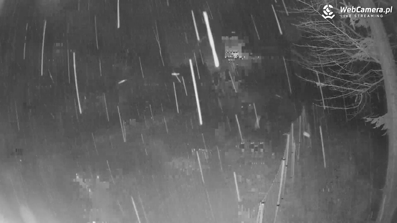 Stacja Narciarska Wierchomla - Szałas - 14 luty 2026, 23:15