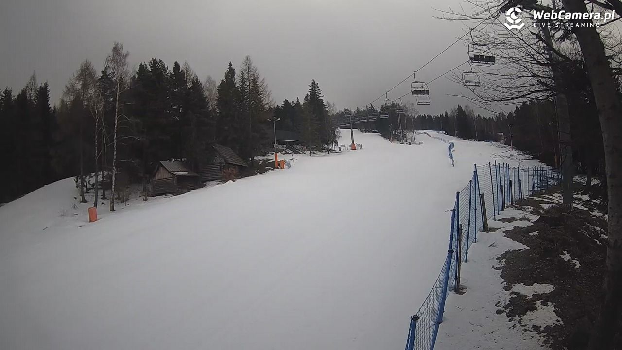 Stacja Narciarska Wierchomla - Szałas - 11 luty 2026, 08:54