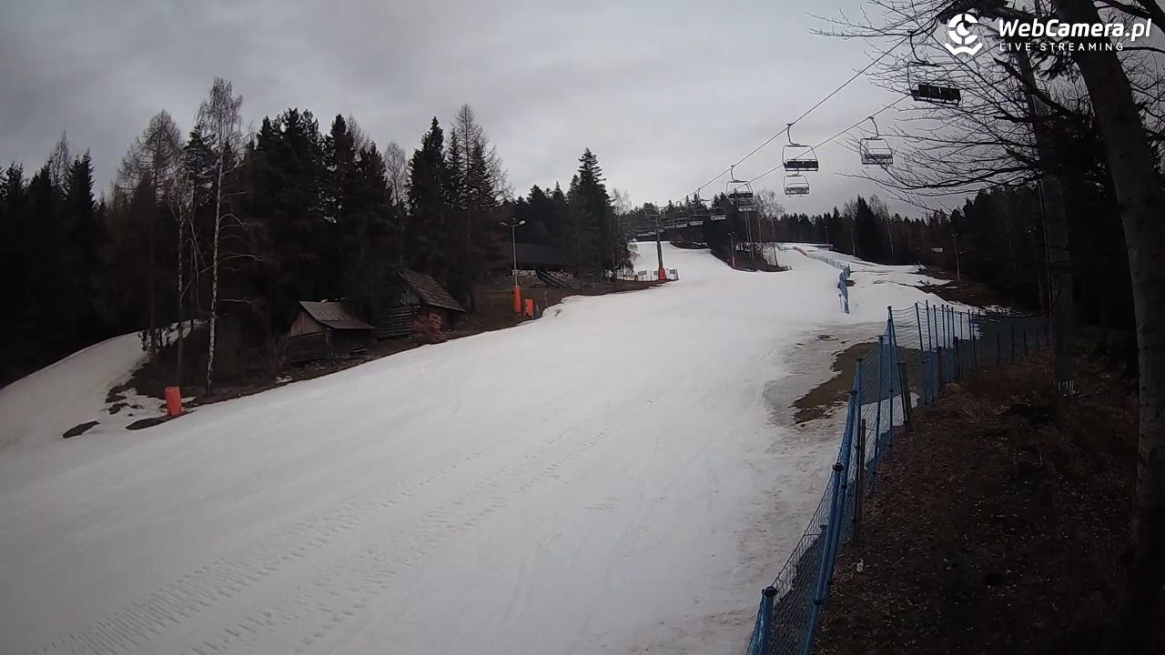 Stacja Narciarska Wierchomla - Szałas - 08 marzec 2026, 17:37