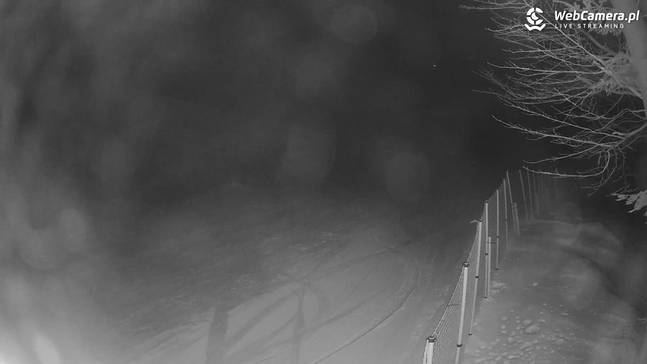 Stacja Narciarska Wierchomla - Szałas - 20 styczeń 2026, 20:24