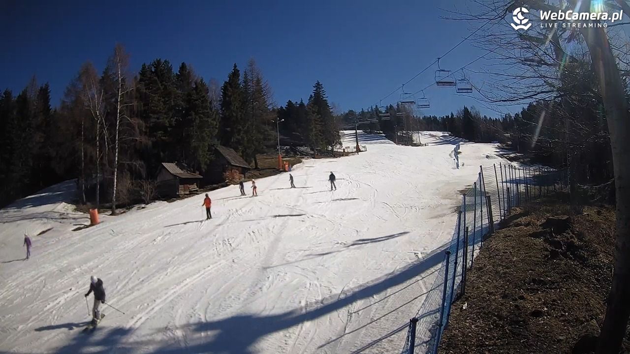 Stacja Narciarska Wierchomla - Szałas - 03 marzec 2026, 12:49