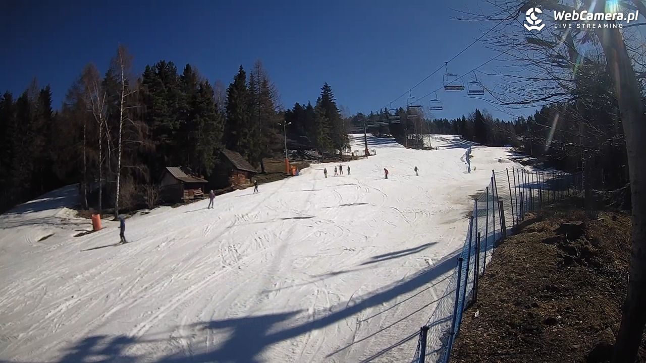 Stacja Narciarska Wierchomla - Szałas - 03 marzec 2026, 12:49