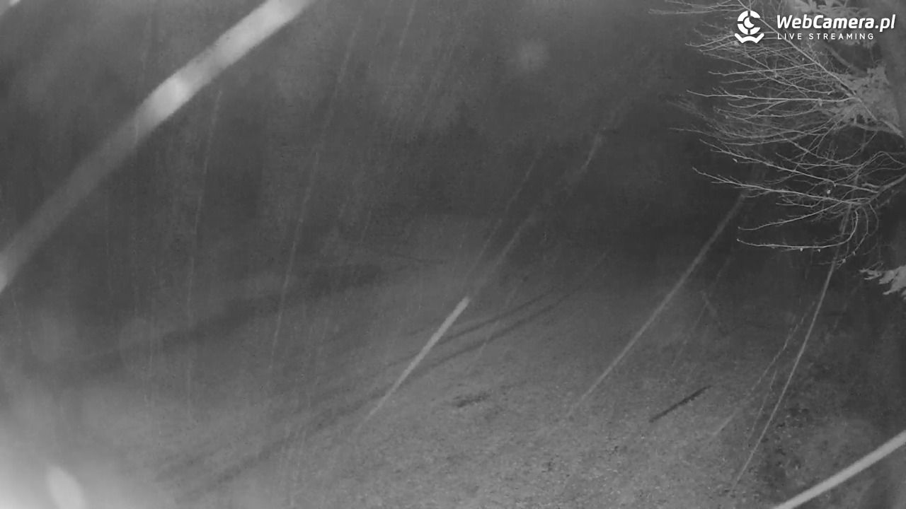 Stacja Narciarska Wierchomla - Szałas - 03 listopad 2025, 22:05