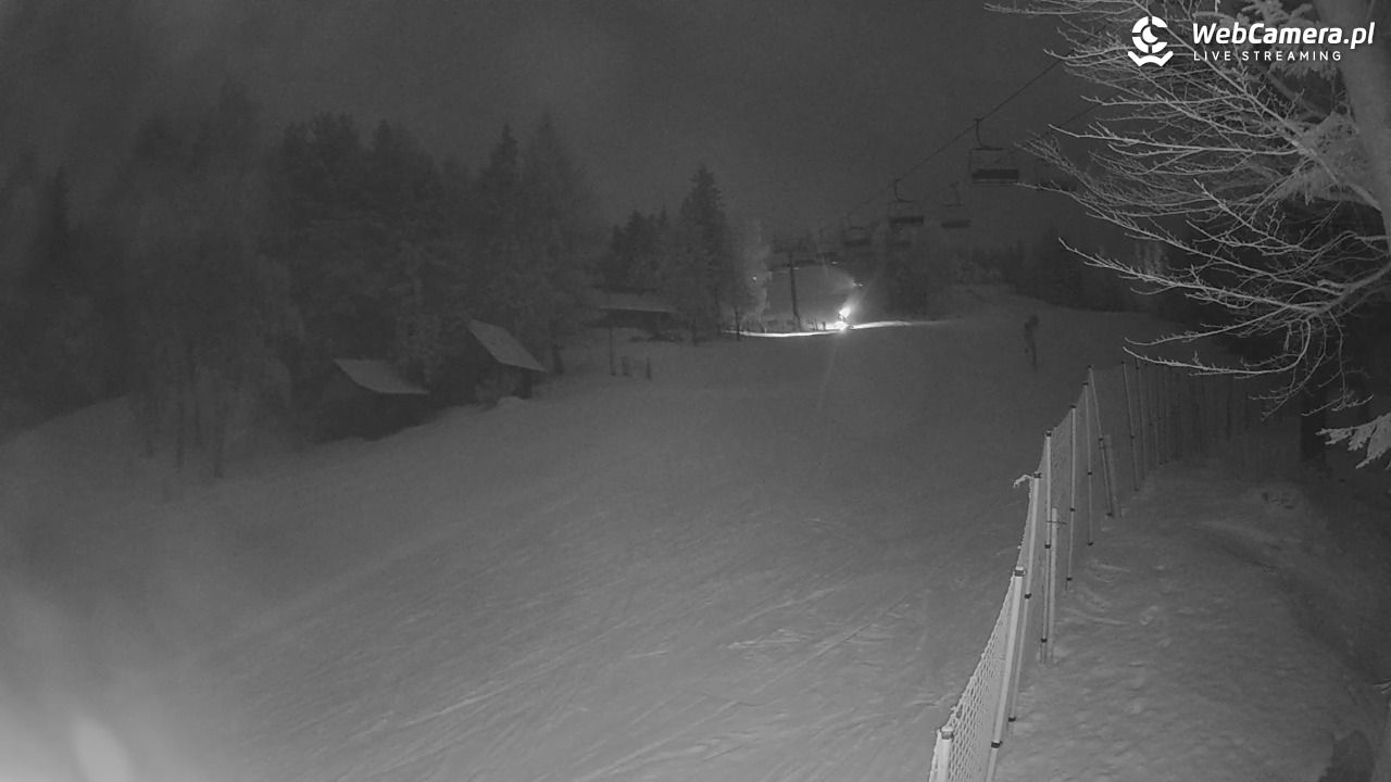 Stacja Narciarska Wierchomla - Szałas - 01 luty 2026, 20:13