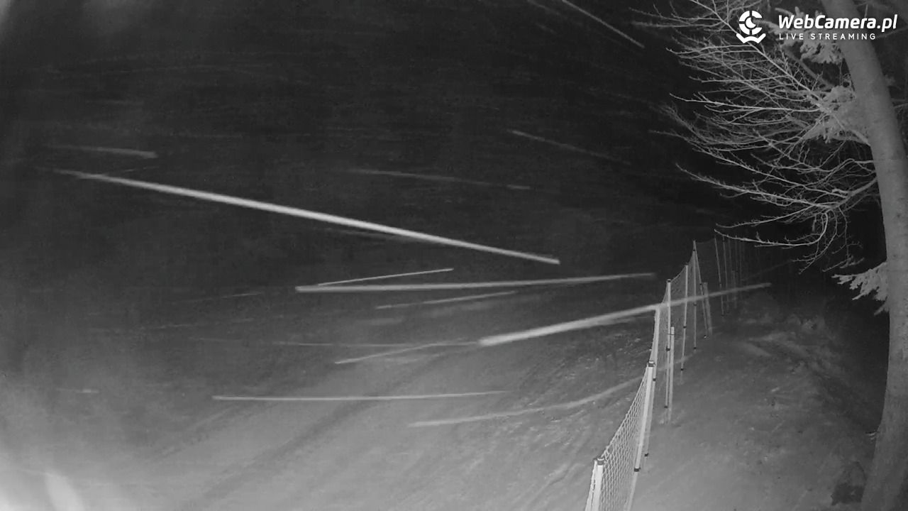 Stacja Narciarska Wierchomla - Szałas - 15 luty 2026, 21:20