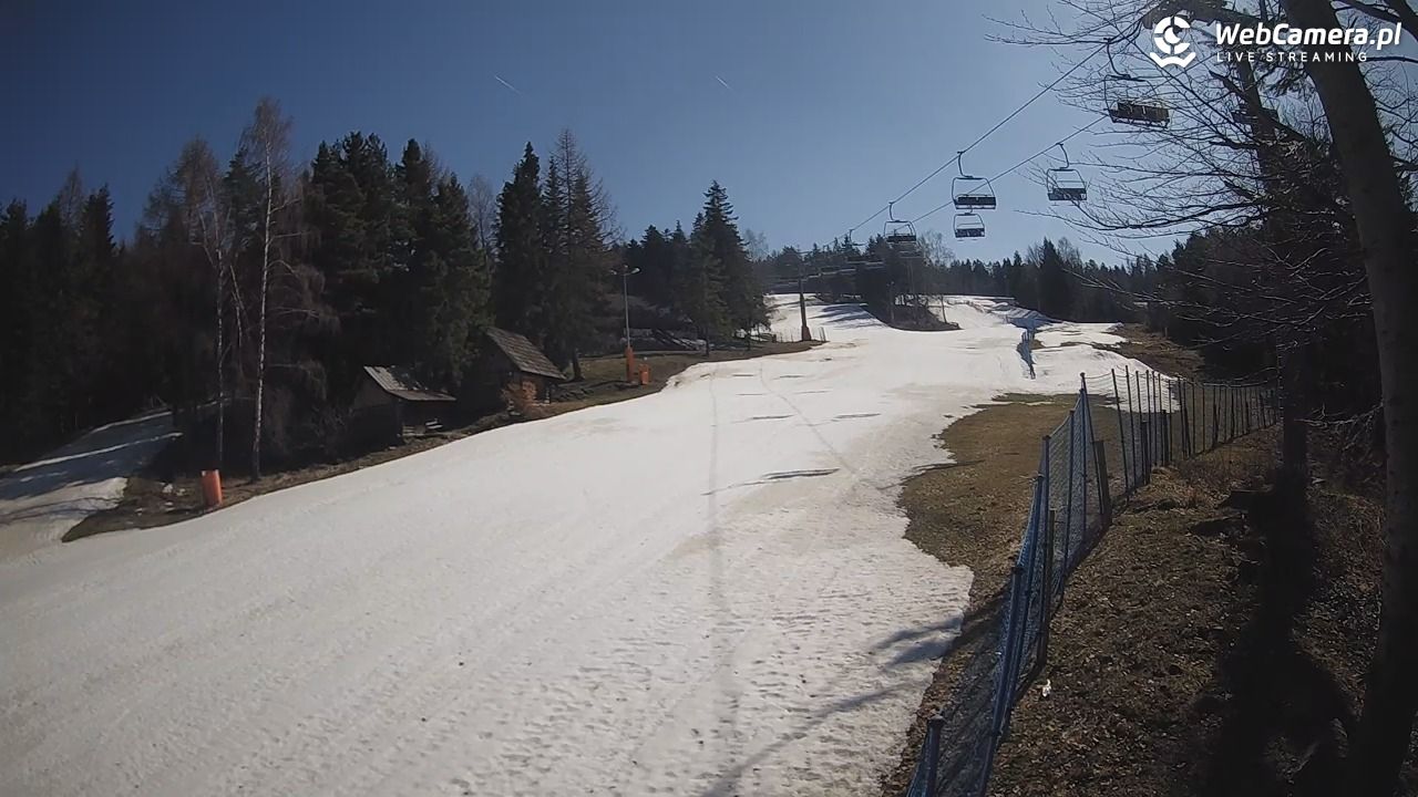 Stacja Narciarska Wierchomla - Szałas - 14 marzec 2026, 11:44