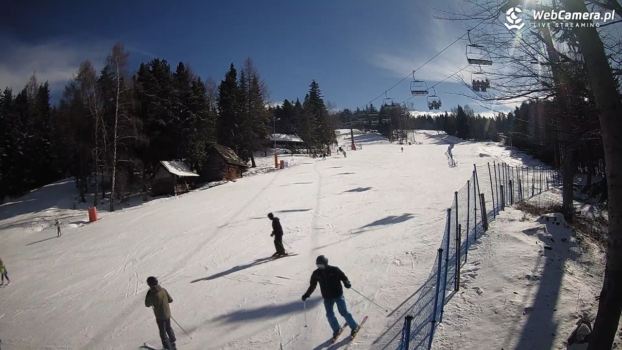 Stacja Narciarska Wierchomla - Szałas - 21 luty 2026, 11:47