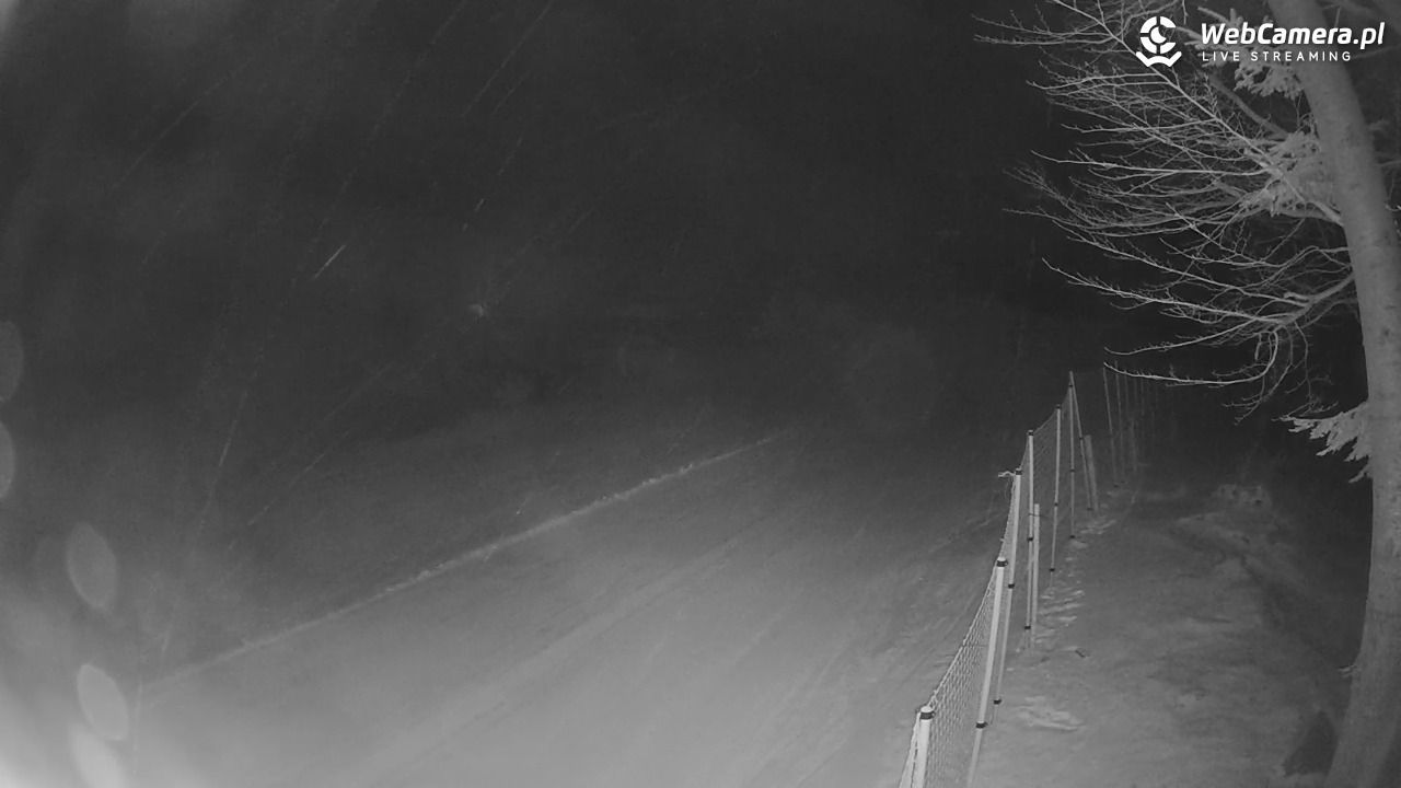 Stacja Narciarska Wierchomla - Szałas - 21 luty 2026, 20:24