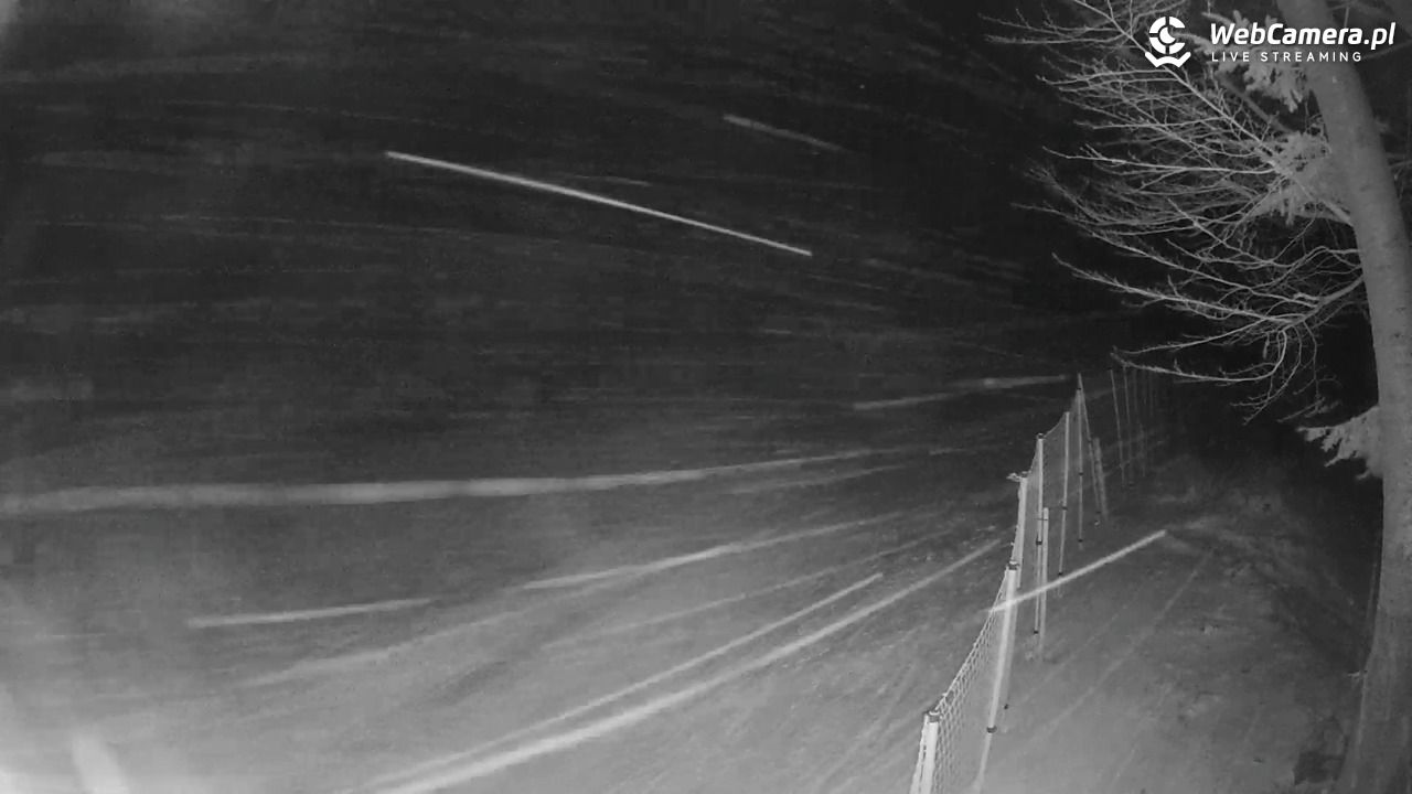 Stacja Narciarska Wierchomla - Szałas - 15 luty 2026, 21:20