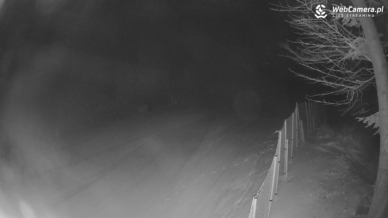 Stacja Narciarska Wierchomla - Szałas - 16 luty 2026, 04:30