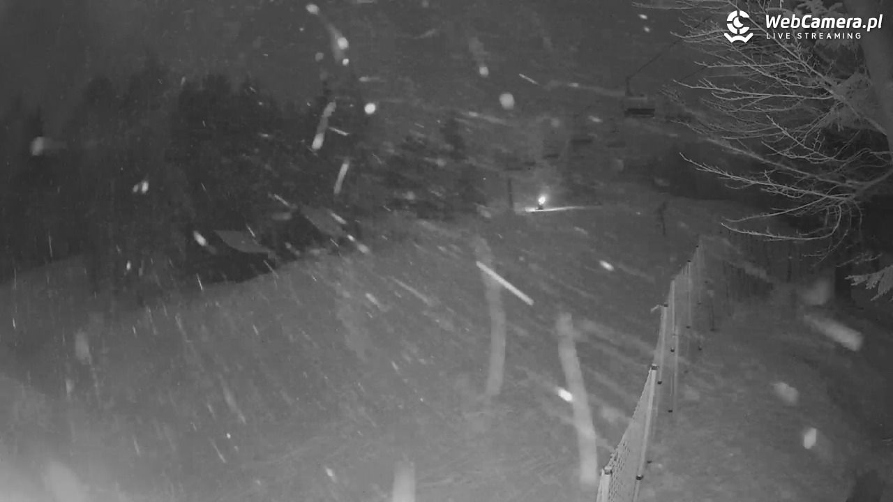 Stacja Narciarska Wierchomla - Szałas - 01 luty 2026, 21:17